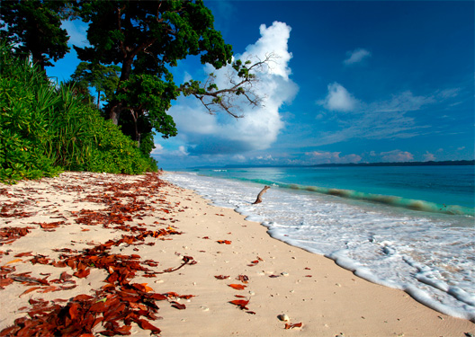 traveldilse-Breathtaking Andamans